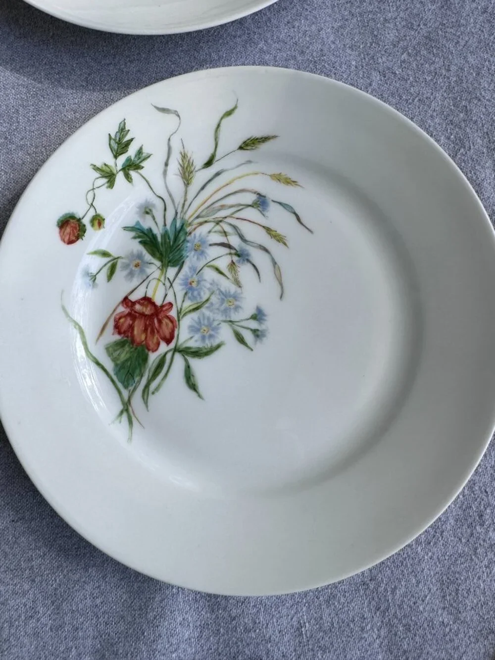 Haviland Limoges Floral Plates – Antique French Porcelain